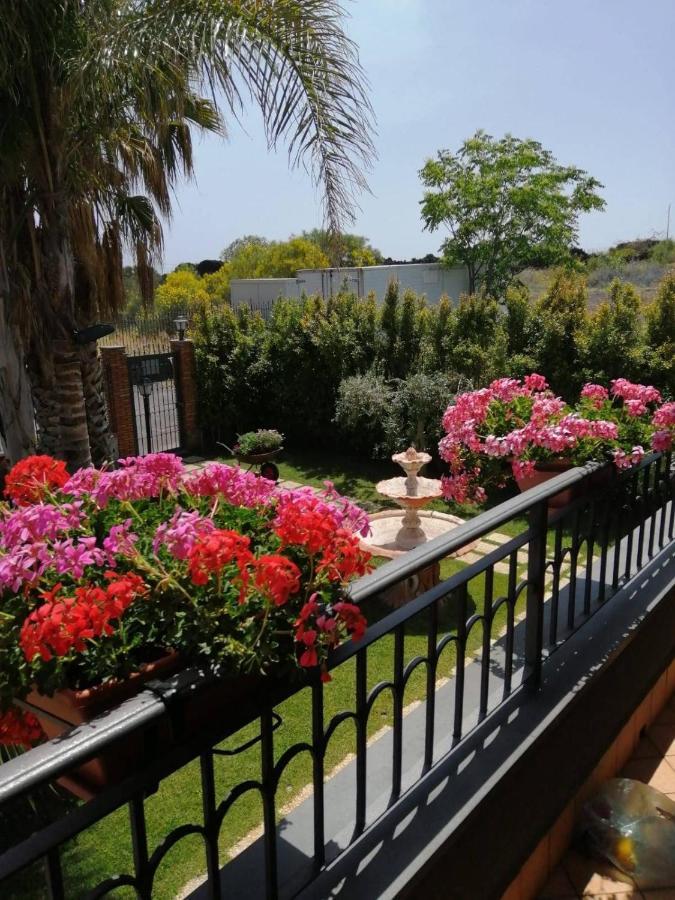B&B Villa Salome' San Pietro Clarenza Exterior photo
